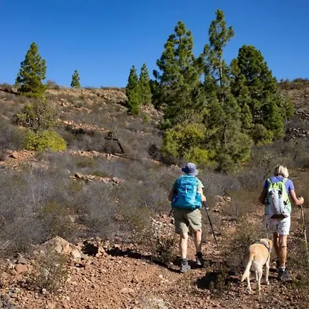 Estrella Σαλέ Costa Adeje (Tenerife)